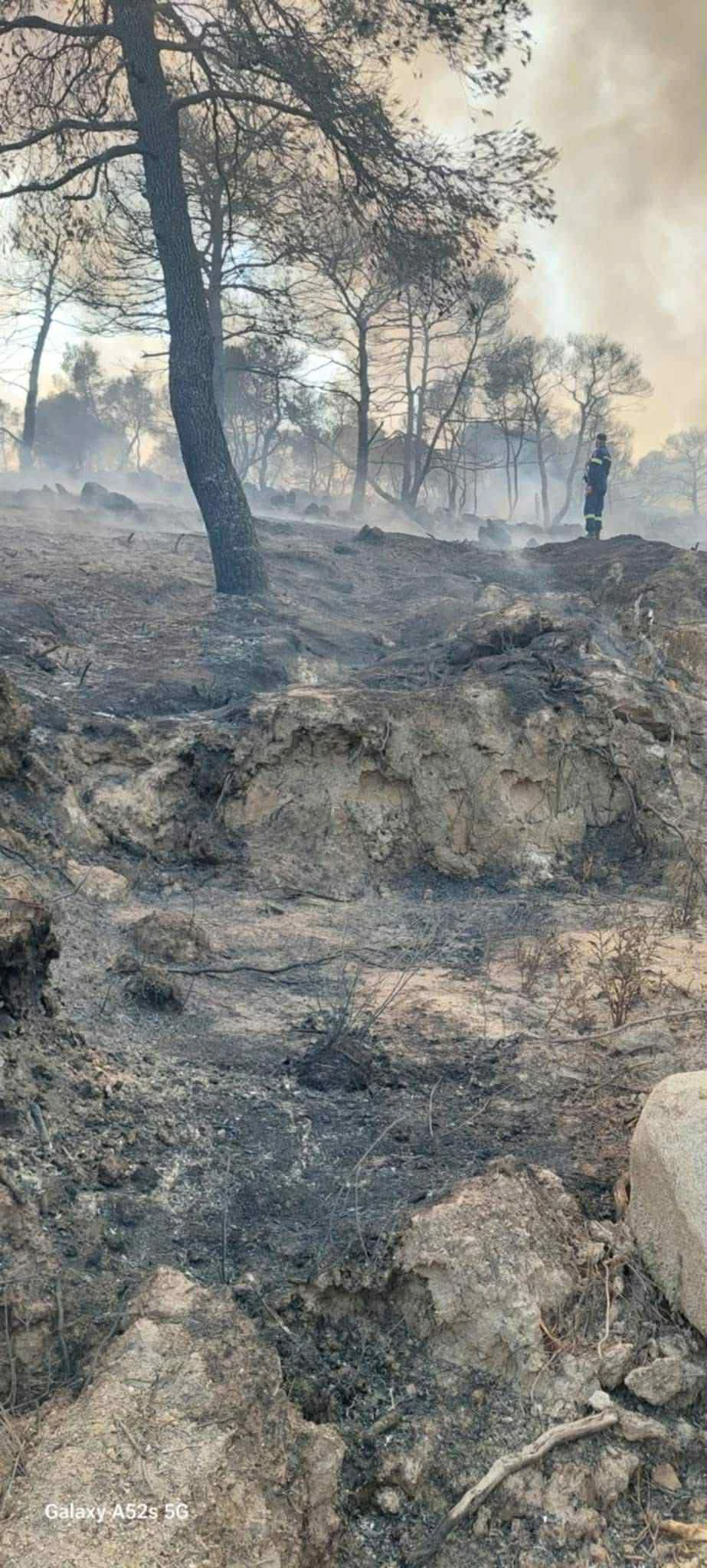 fotia-vourvourou-5.jpg?v=0 fotia-vourvourou-5.jpg?v=0