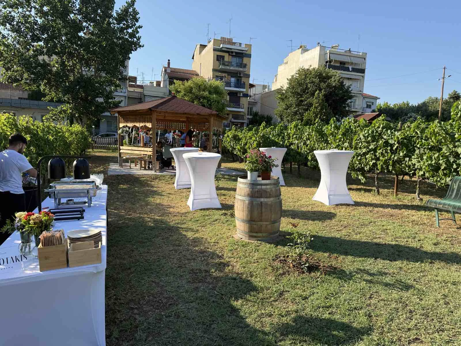 gamos-ampelonas-2.jpg?v=0