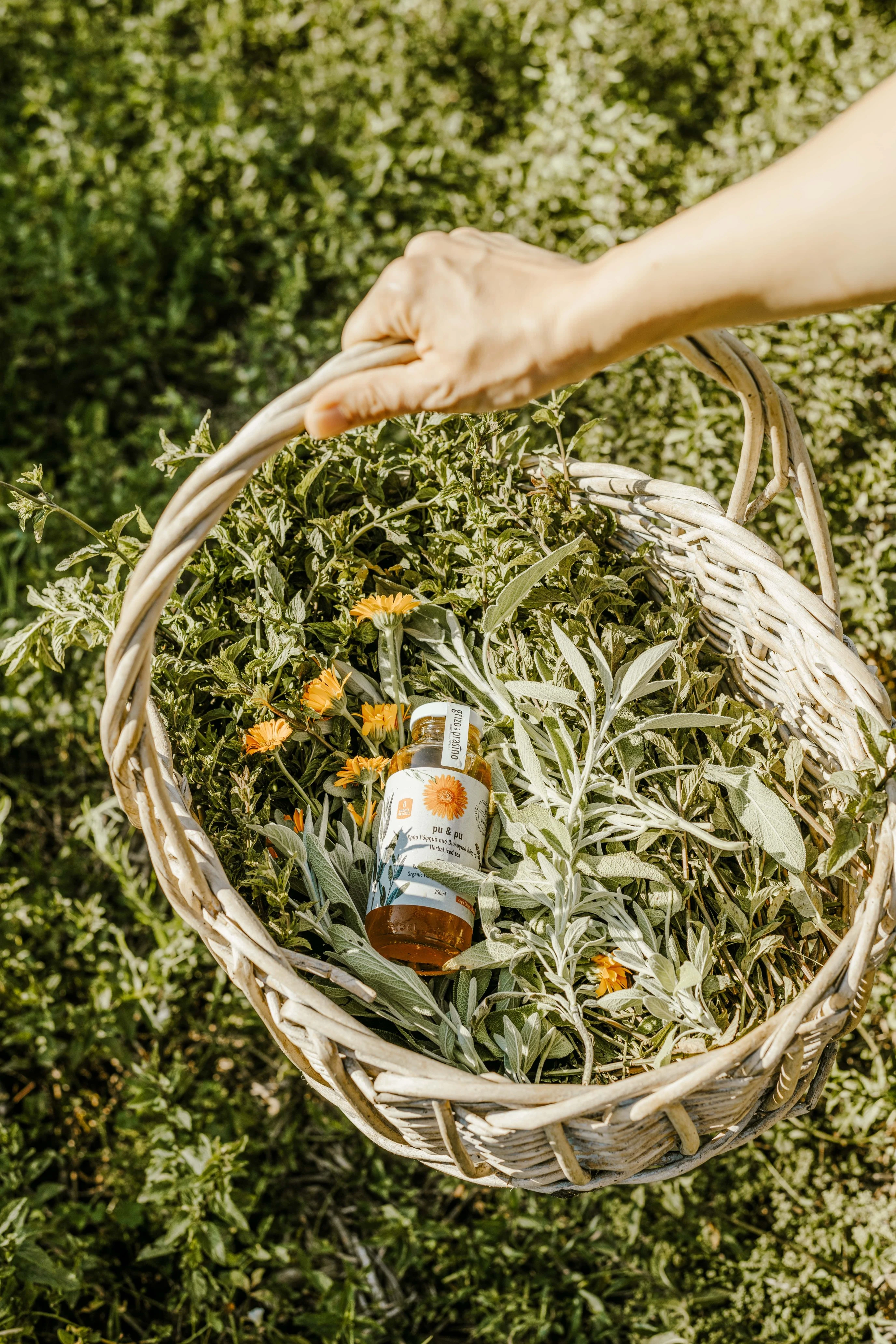 gkrizoprasino2.jpg?v=0