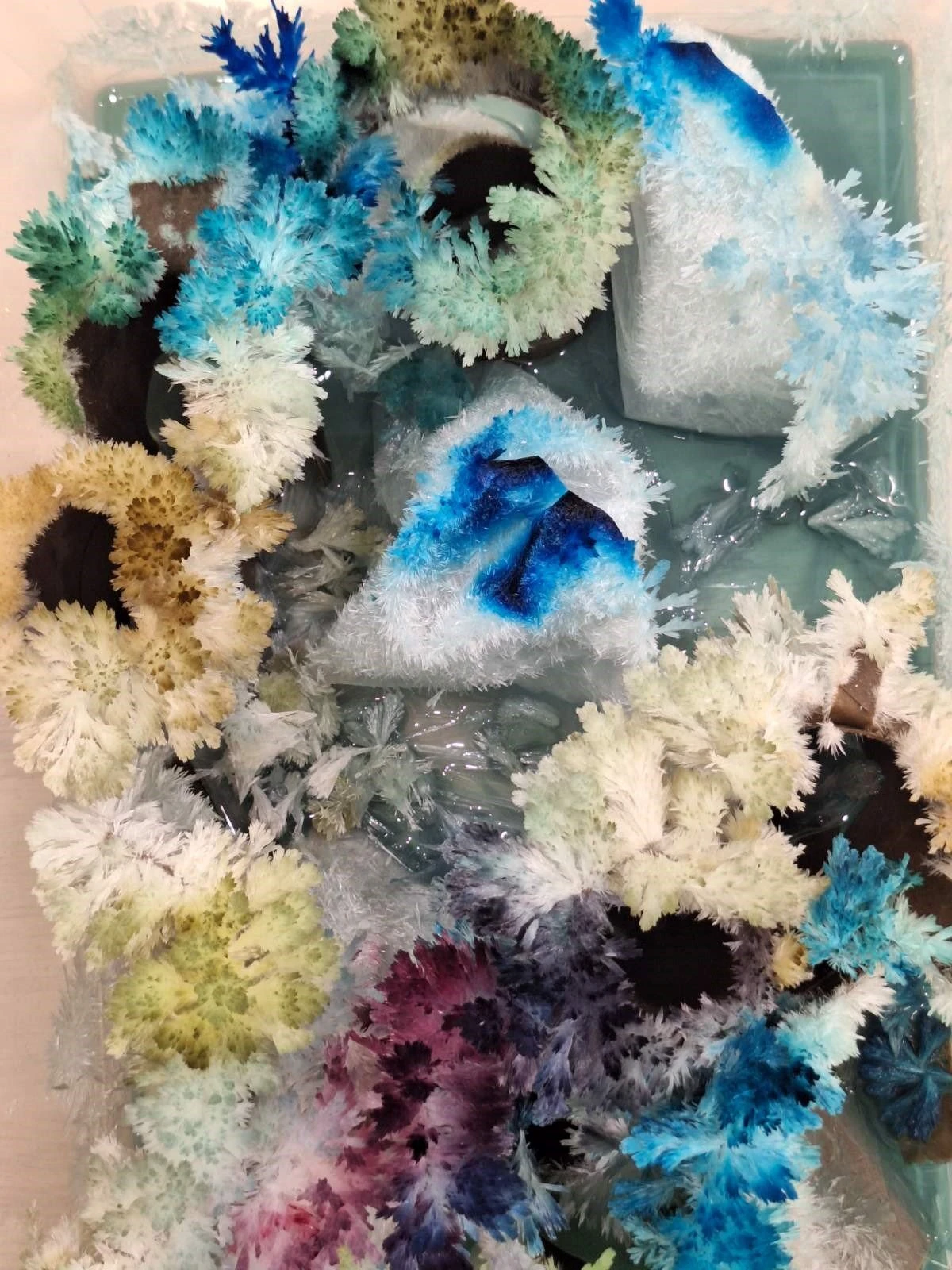 kdap-creative-kids-16.jpg?v=0