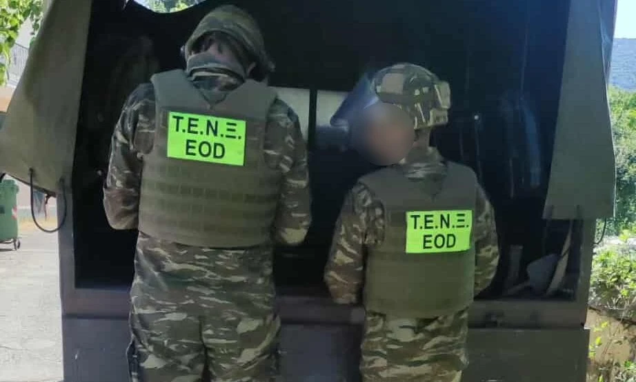 lefkopigi-ovida-2.jpg?v=0