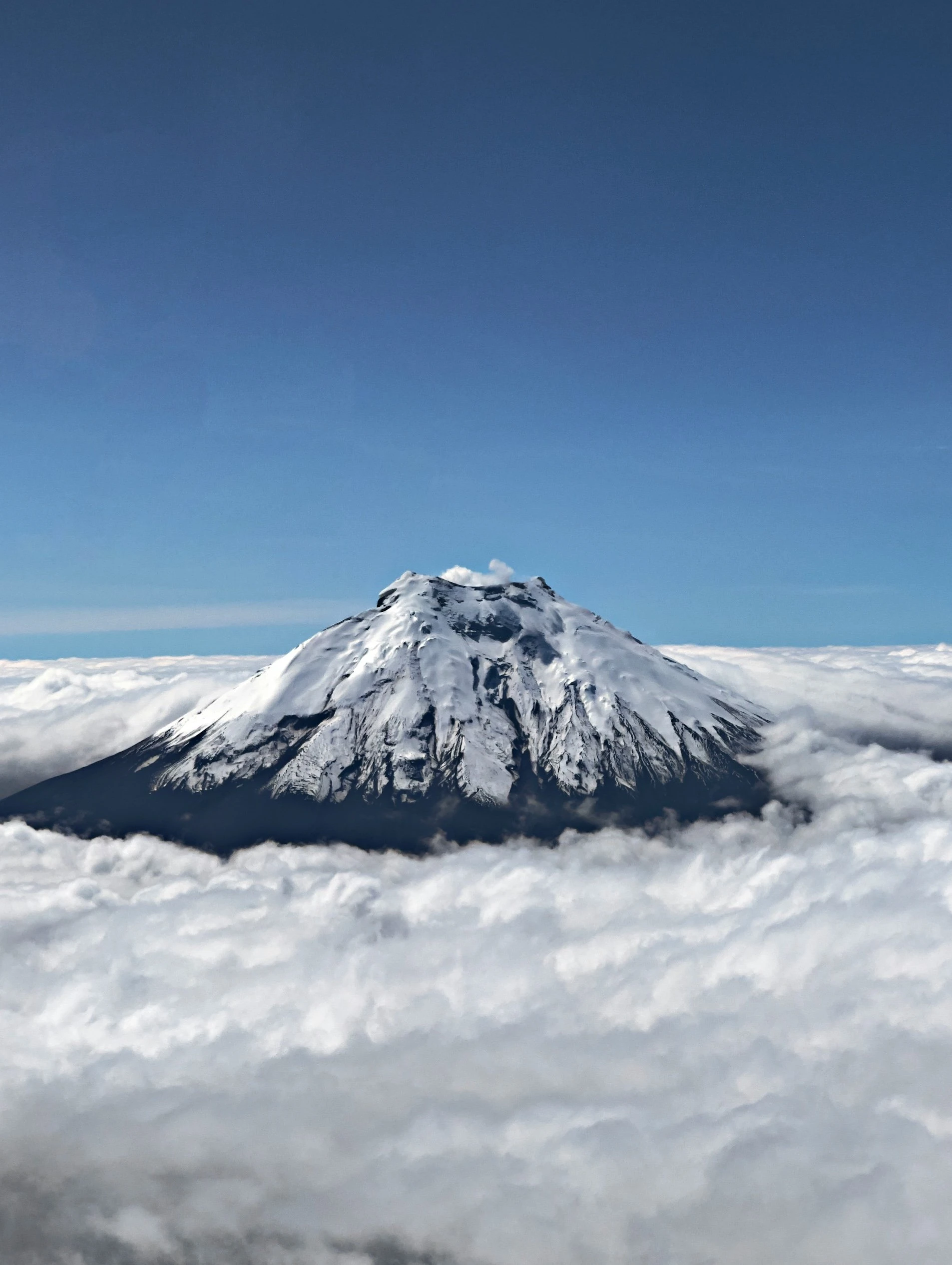 mount-chimborazo-press-release.jpg?v=0