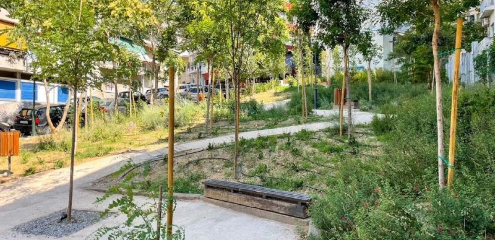 parko-tsepis.jpg?v=0