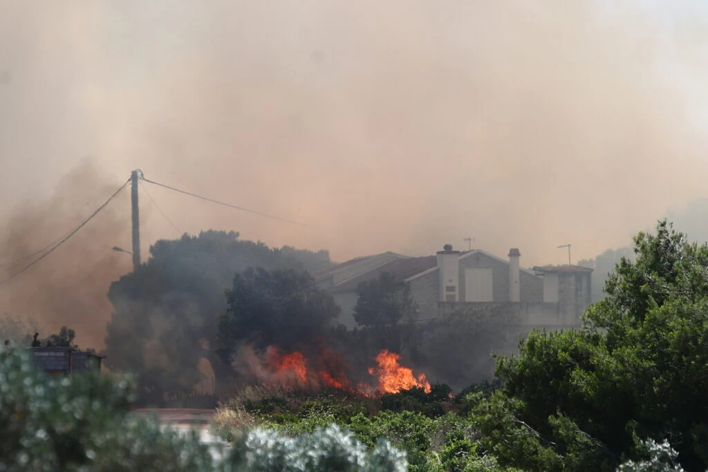 pikermi-fotia-3.jpg?v=0