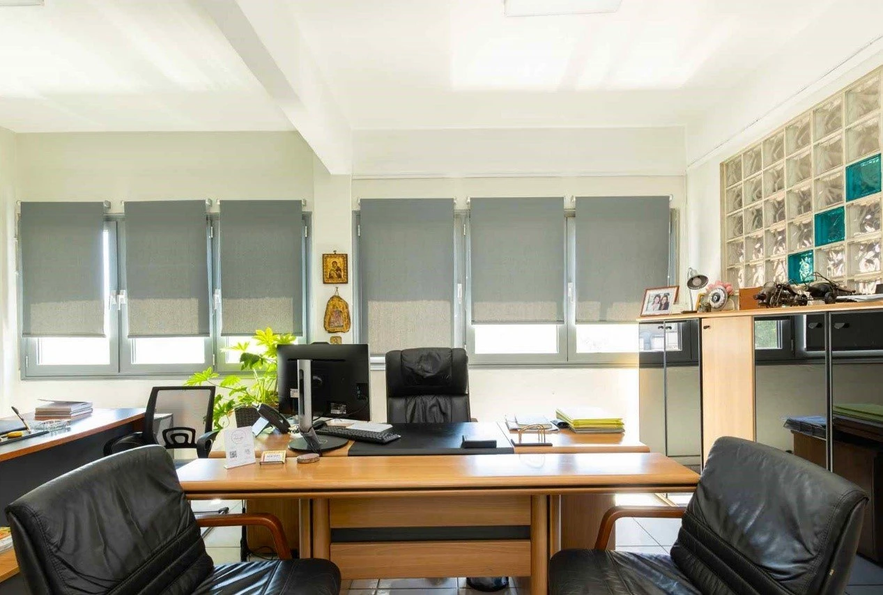 scholi-odighon-lentzioy4.jpg?v=0