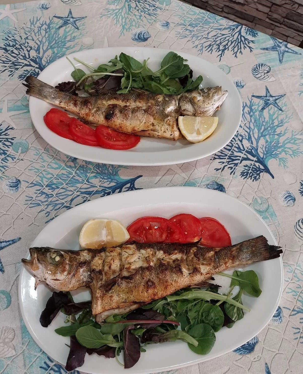 to-sermpeti22.jpg?v=0