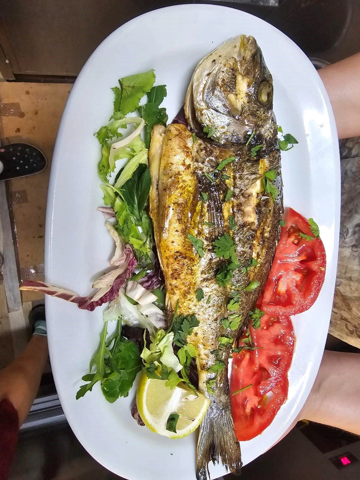 to-sermpeti23.jpg?v=0