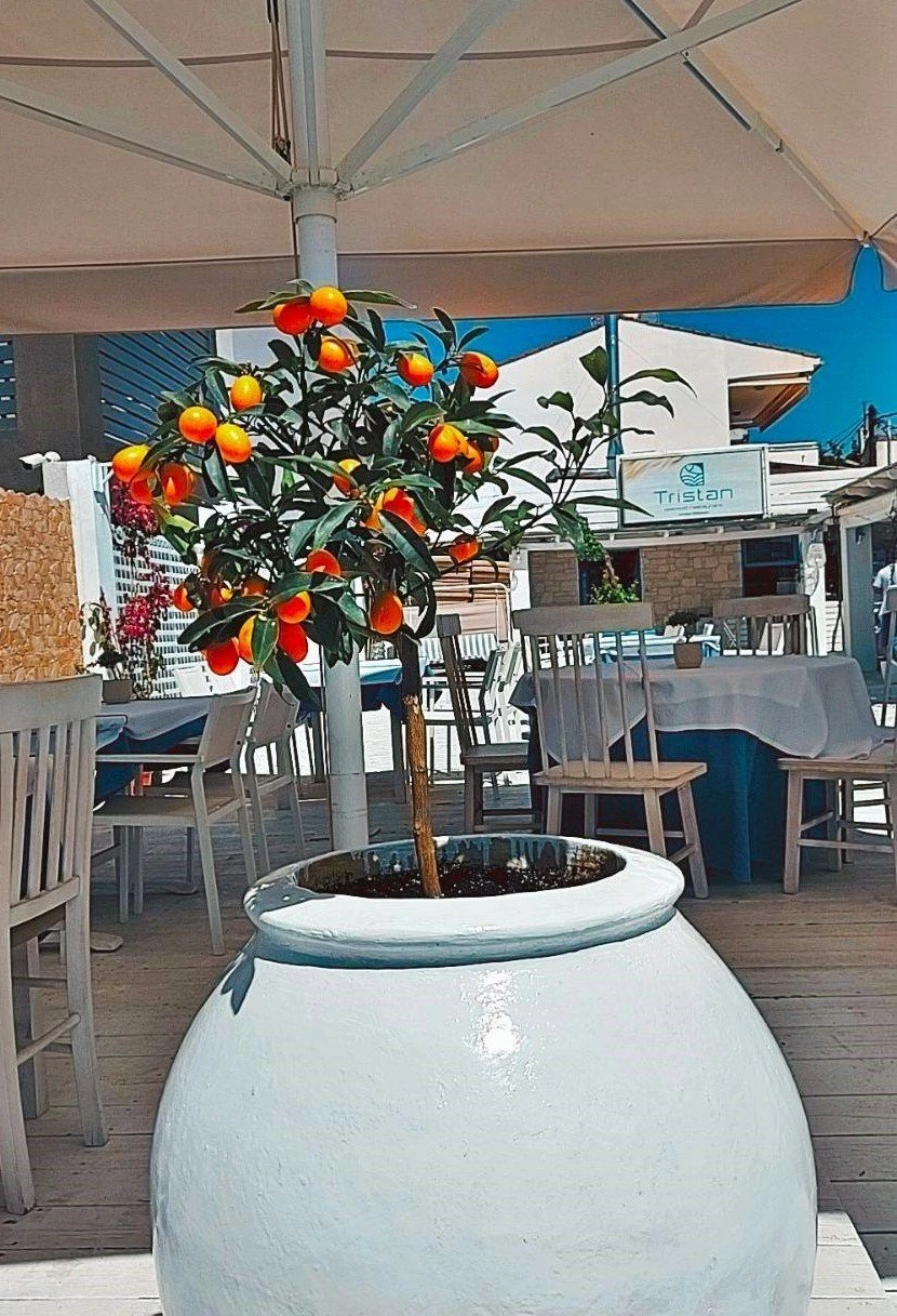 tristan-sea-18.jpg?v=0