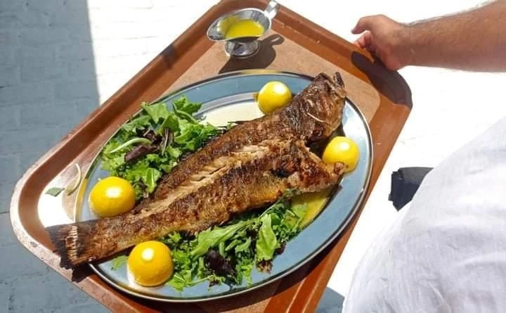 tristan-sea-3.jpg?v=0