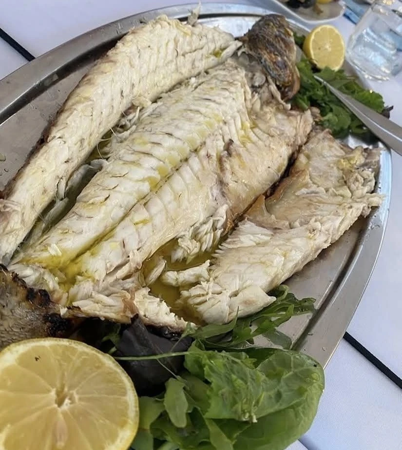 tristan-sea-5.jpg?v=0