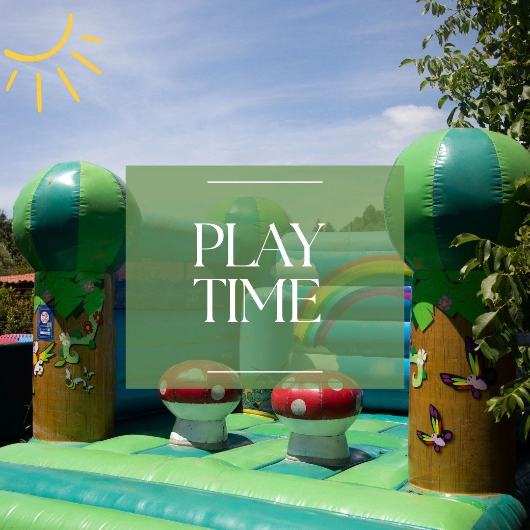 tucan-pizza-25.jpg?v=0