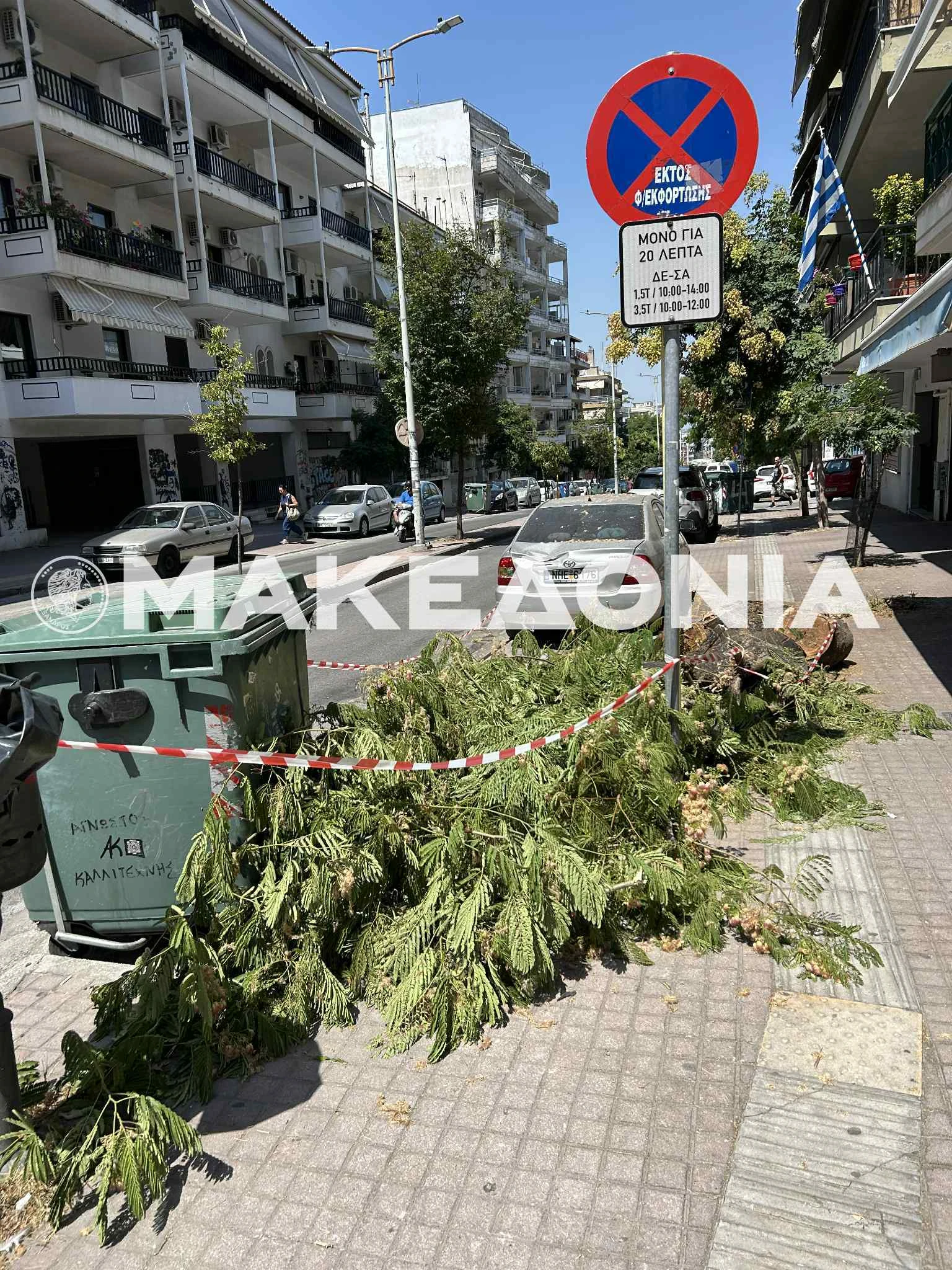 01e6c136-72f5-4393-8164-5c3198a150e9.jpeg?v=0