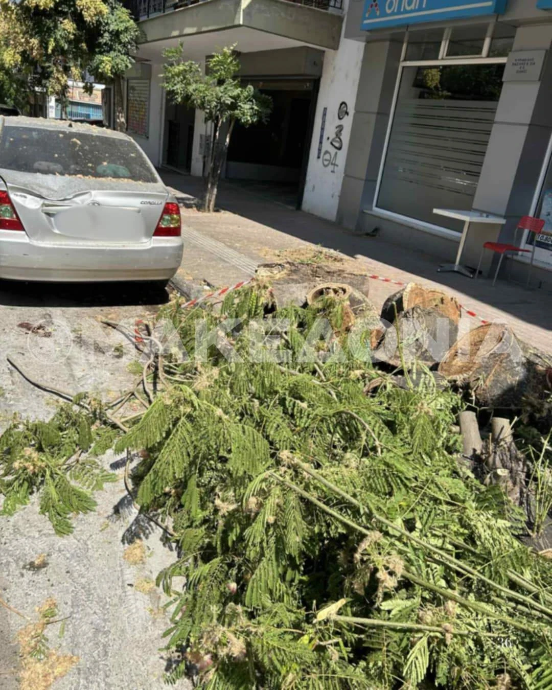 cd2175d5-58ea-437c-b335-ae917693bdb8.jpeg?v=0