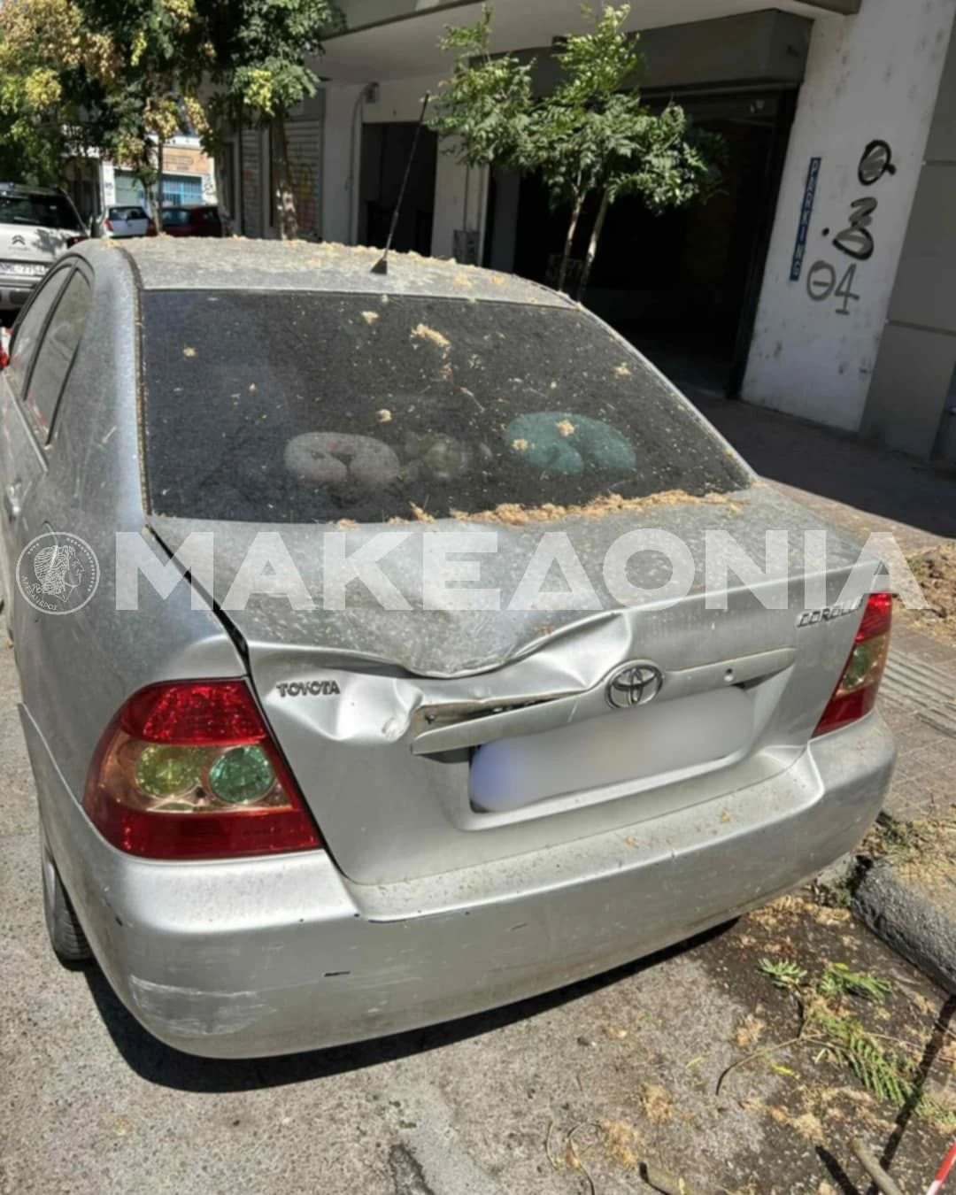 d3428781-bd2f-4cfa-b415-f1fb1d52b04e.jpeg?v=0