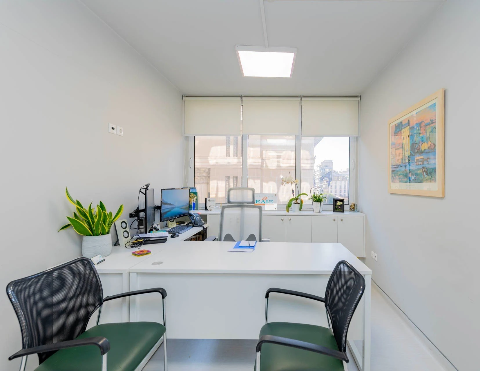 frontistiria-eliks20.jpg?v=0