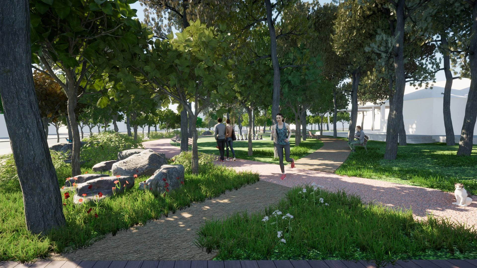 kalamaria-anaplasi-13.jpg?v=0 kalamaria-anaplasi-13.jpg?v=0