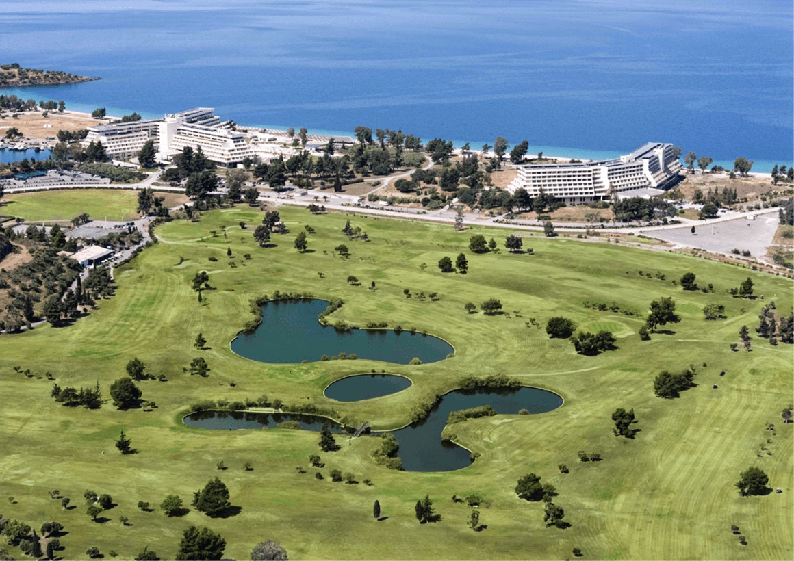 portocaras1.jpeg?v=0 portocaras1.jpeg?v=0