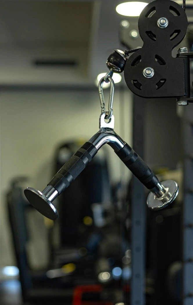 target-absolute-10.jpg?v=0