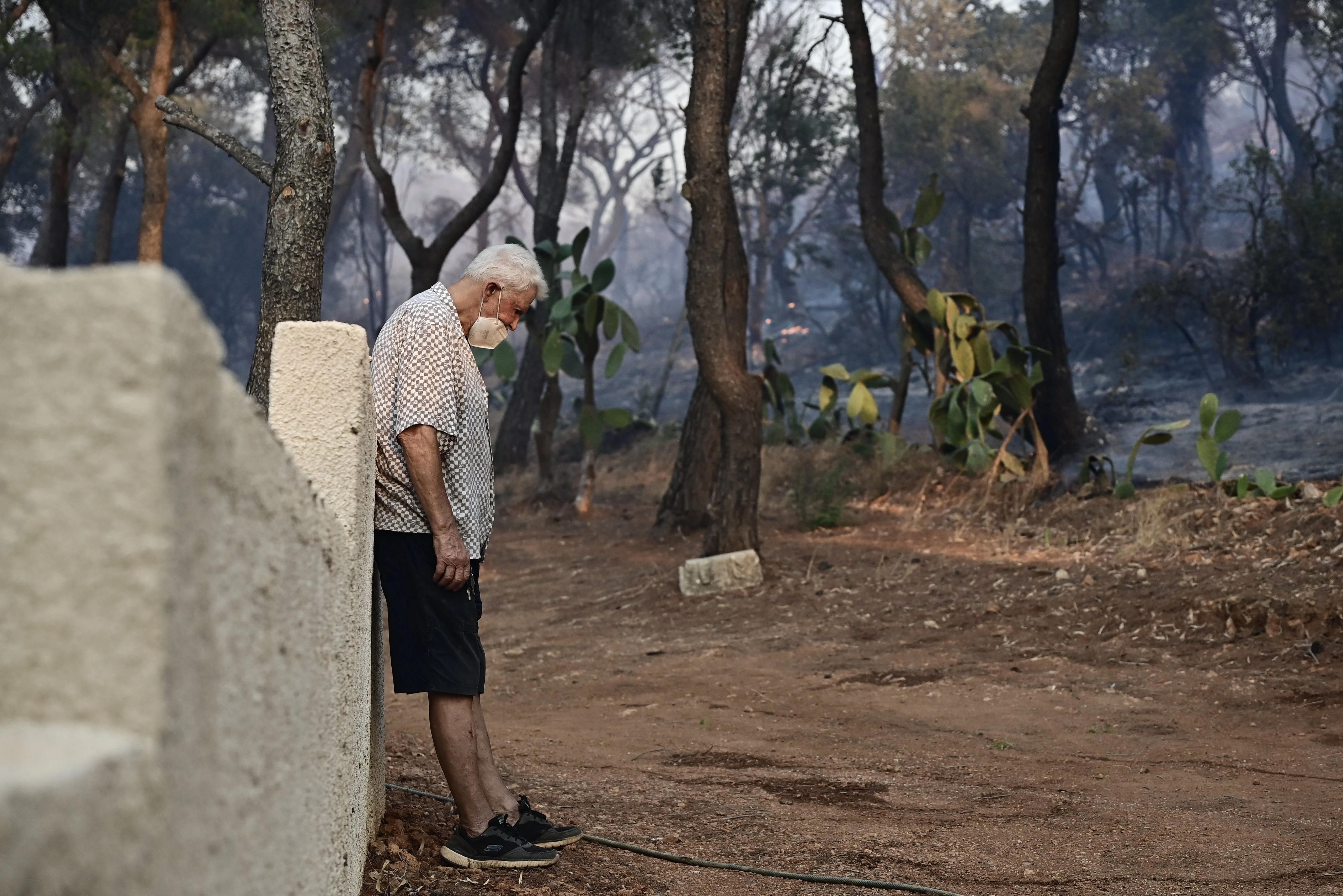 6629149-KeYzu.jpg?v=0