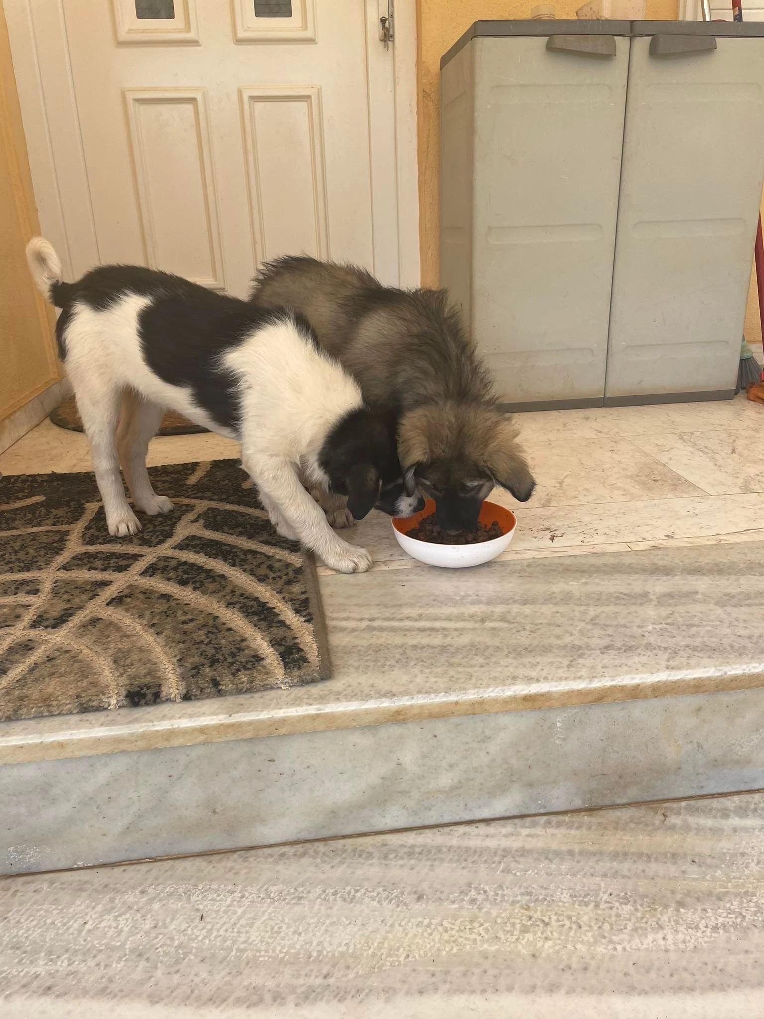 parla-chainti.JPG?v=0