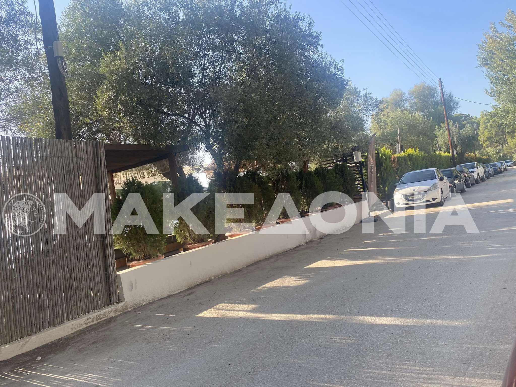 vesyropoulos-1.jpg?v=0 vesyropoulos-1.jpg?v=0