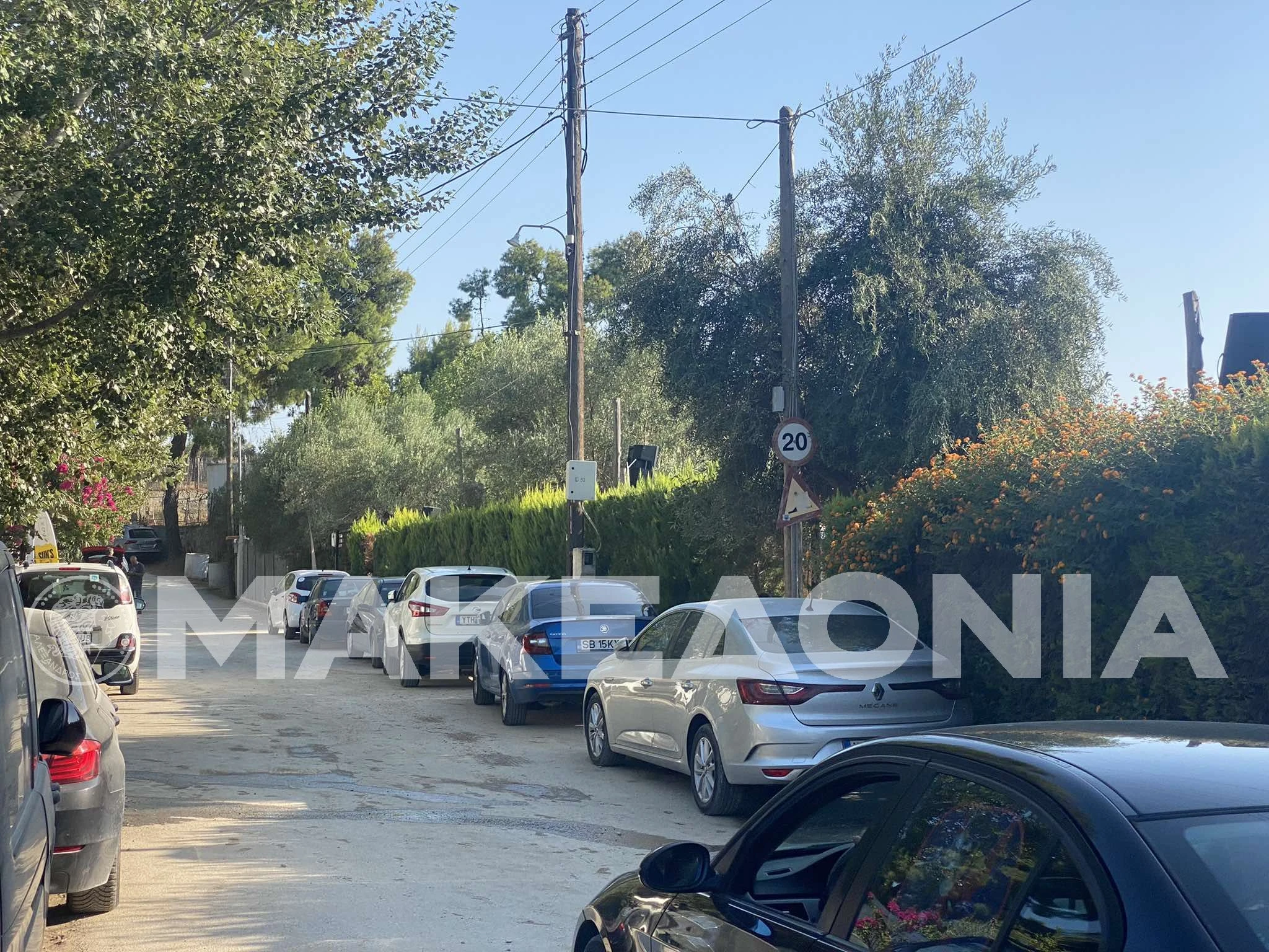 vesyropoulos-2.jpg?v=0 vesyropoulos-2.jpg?v=0