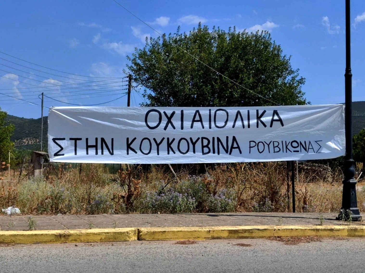 515013882-1074743398201294-2604292088466719171-n.jpg?v=0