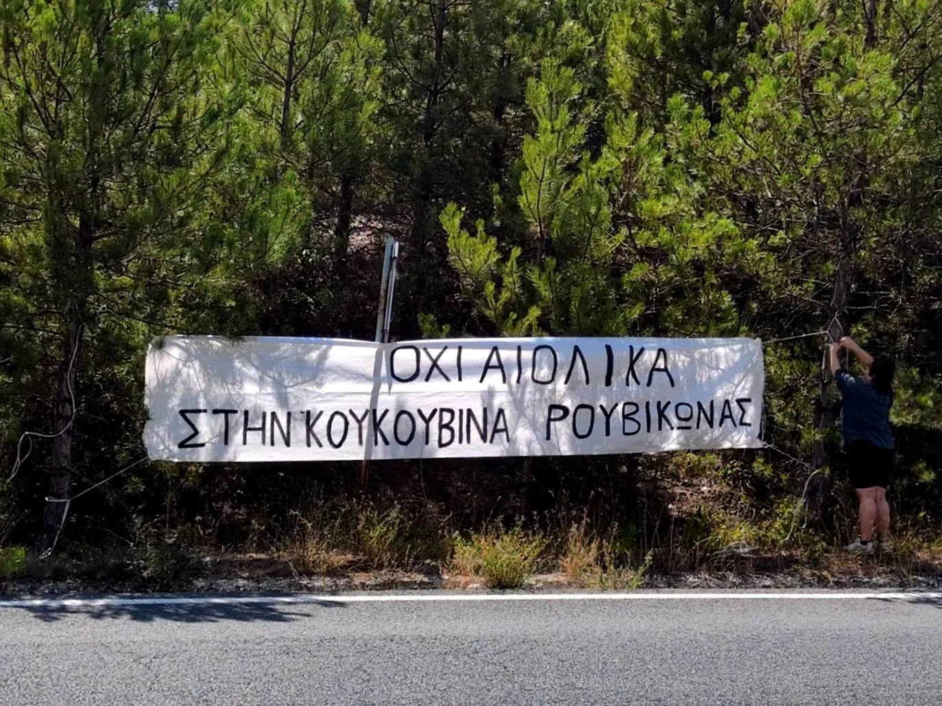 515442093-1074743511534616-1396449911738682185-n.jpg?v=0