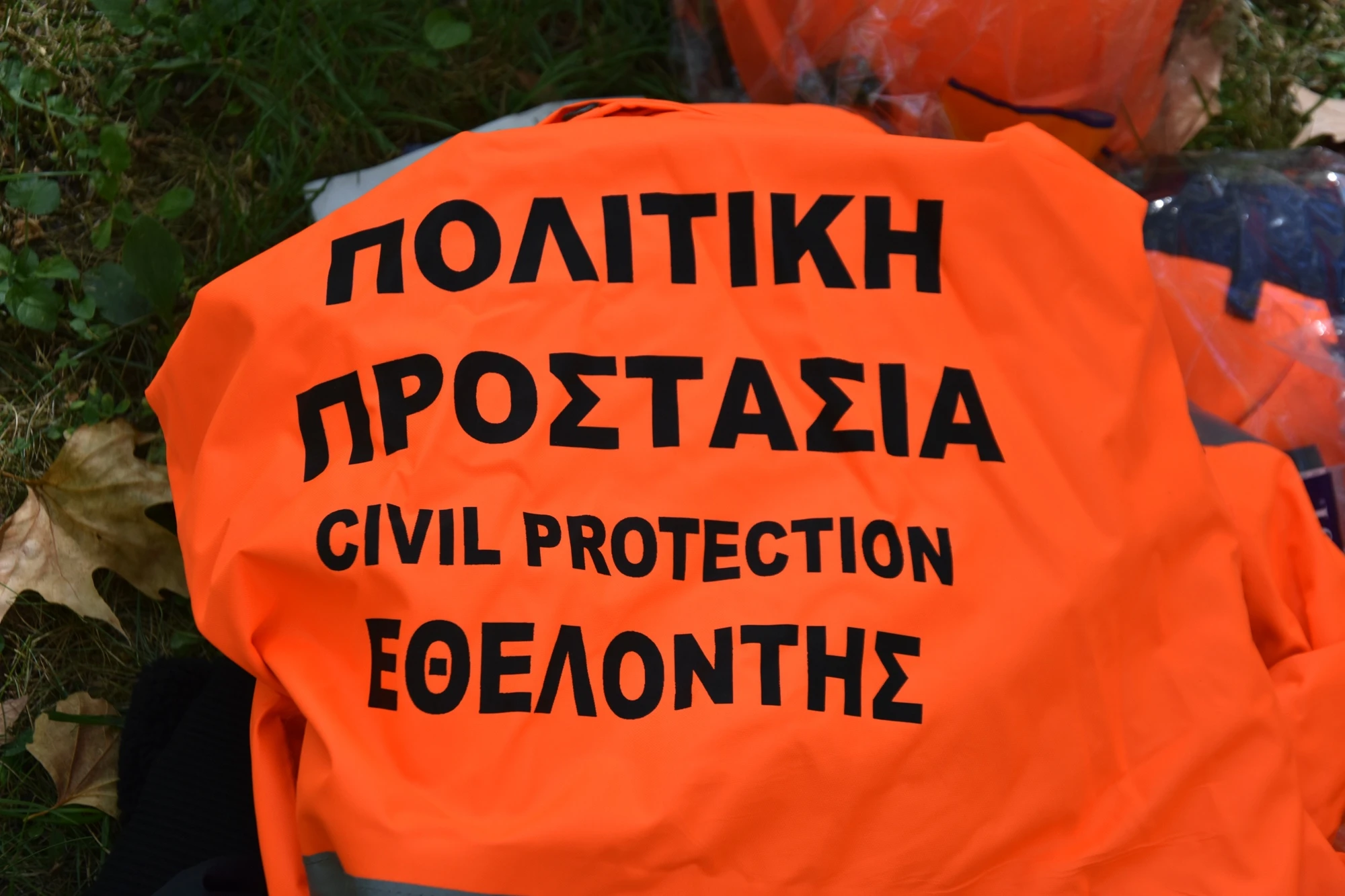 ethelontis-politiki-prostasia.jpg?v=0