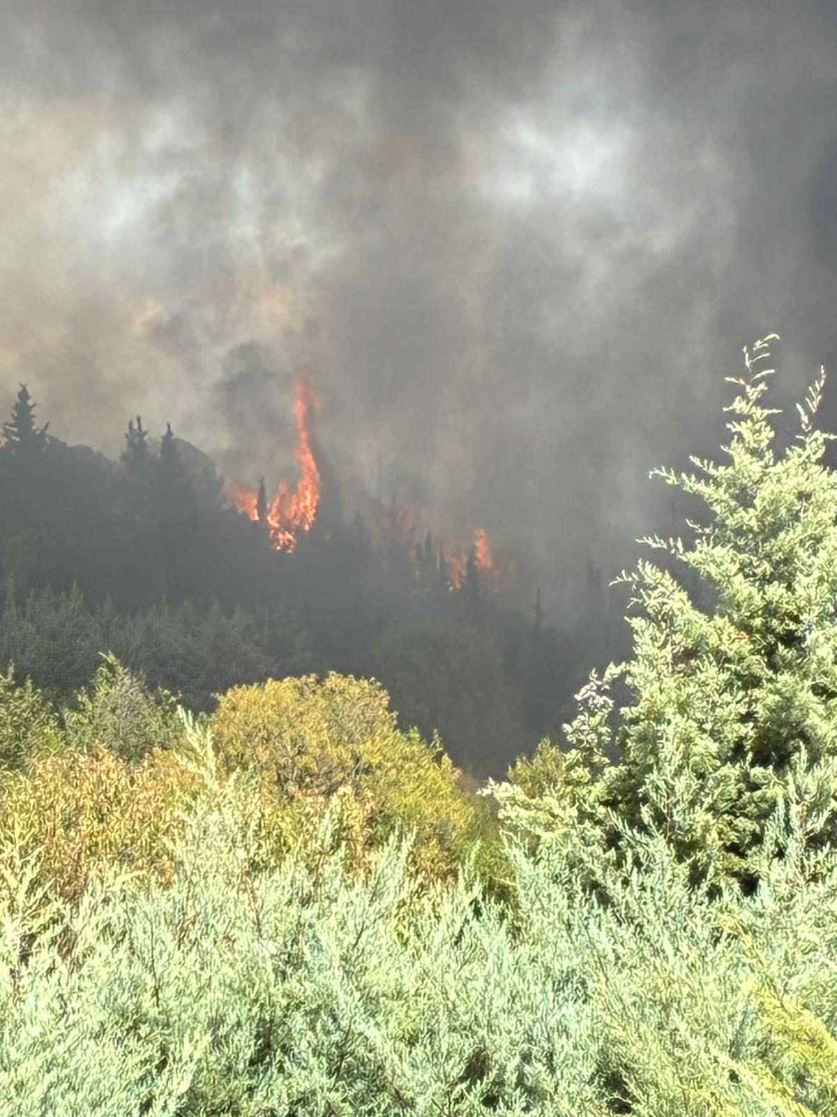 fwtia-xortiatis-4.jpeg?v=0