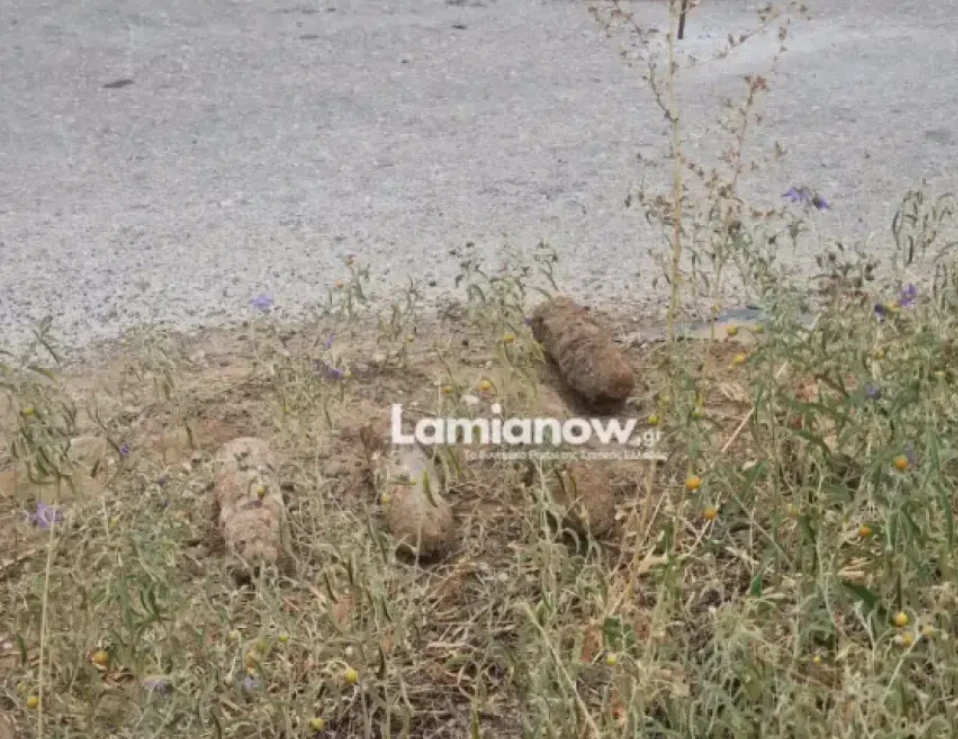 lamia-piromaxika-2.png?v=0