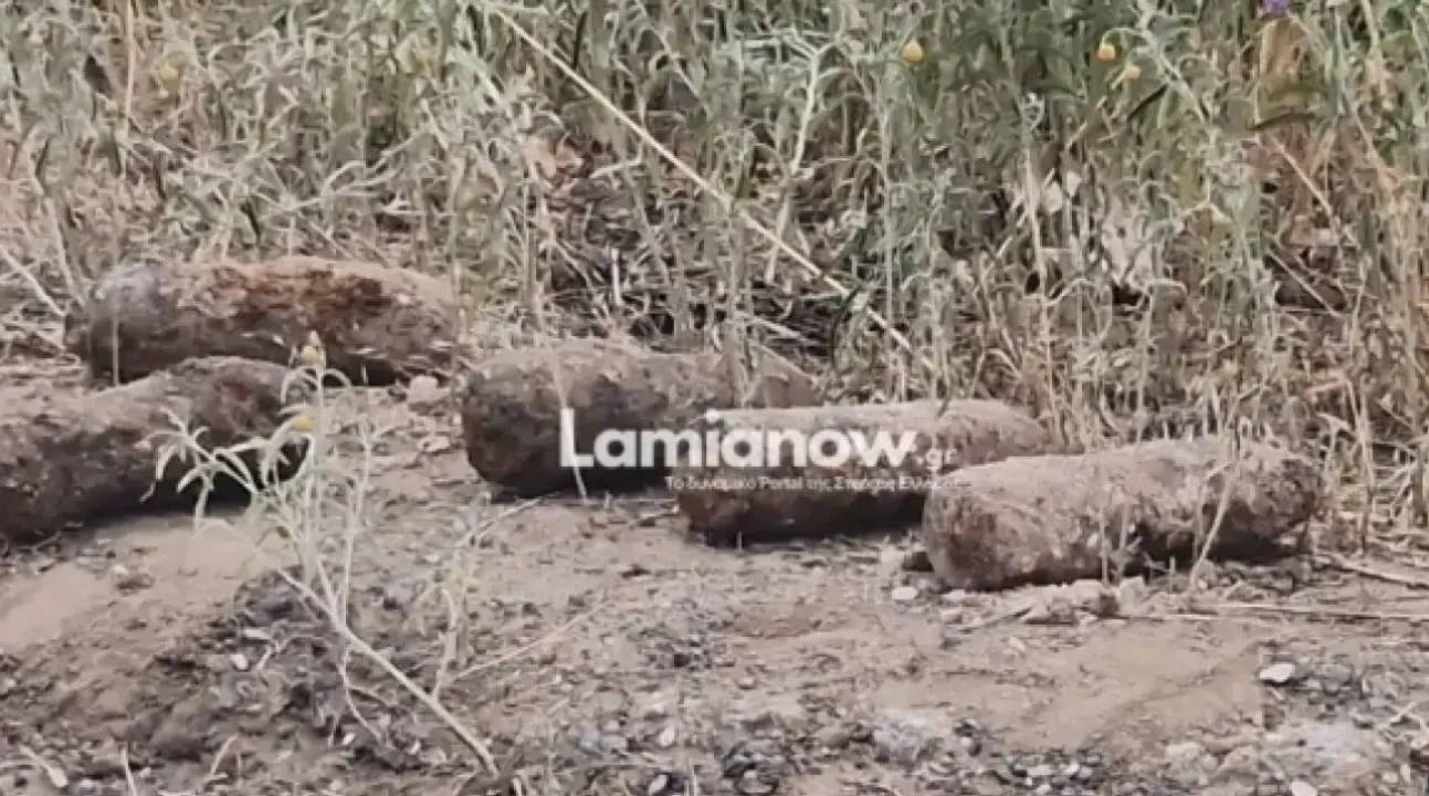 lamia-piromaxika-4.png?v=0