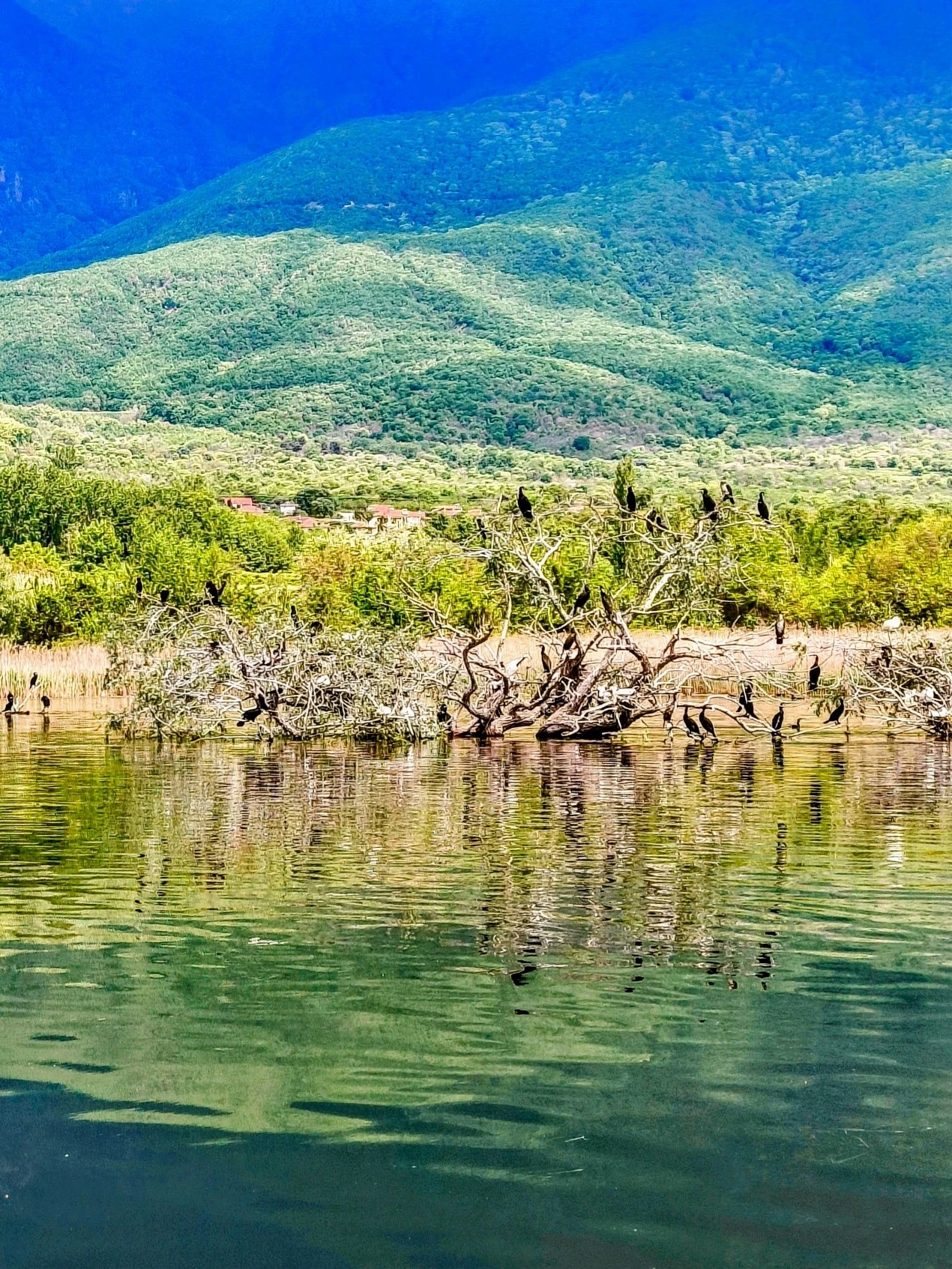 oinovarkada-septemvrios5.jpg?v=0