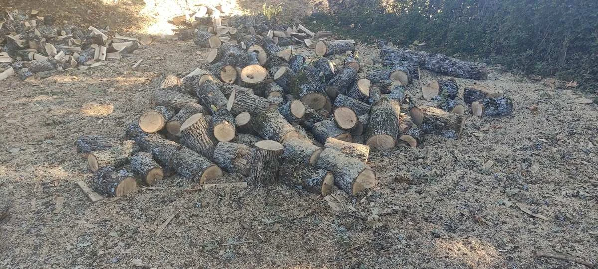 2025-09-17-foto-rypansi-5.jpg?v=0