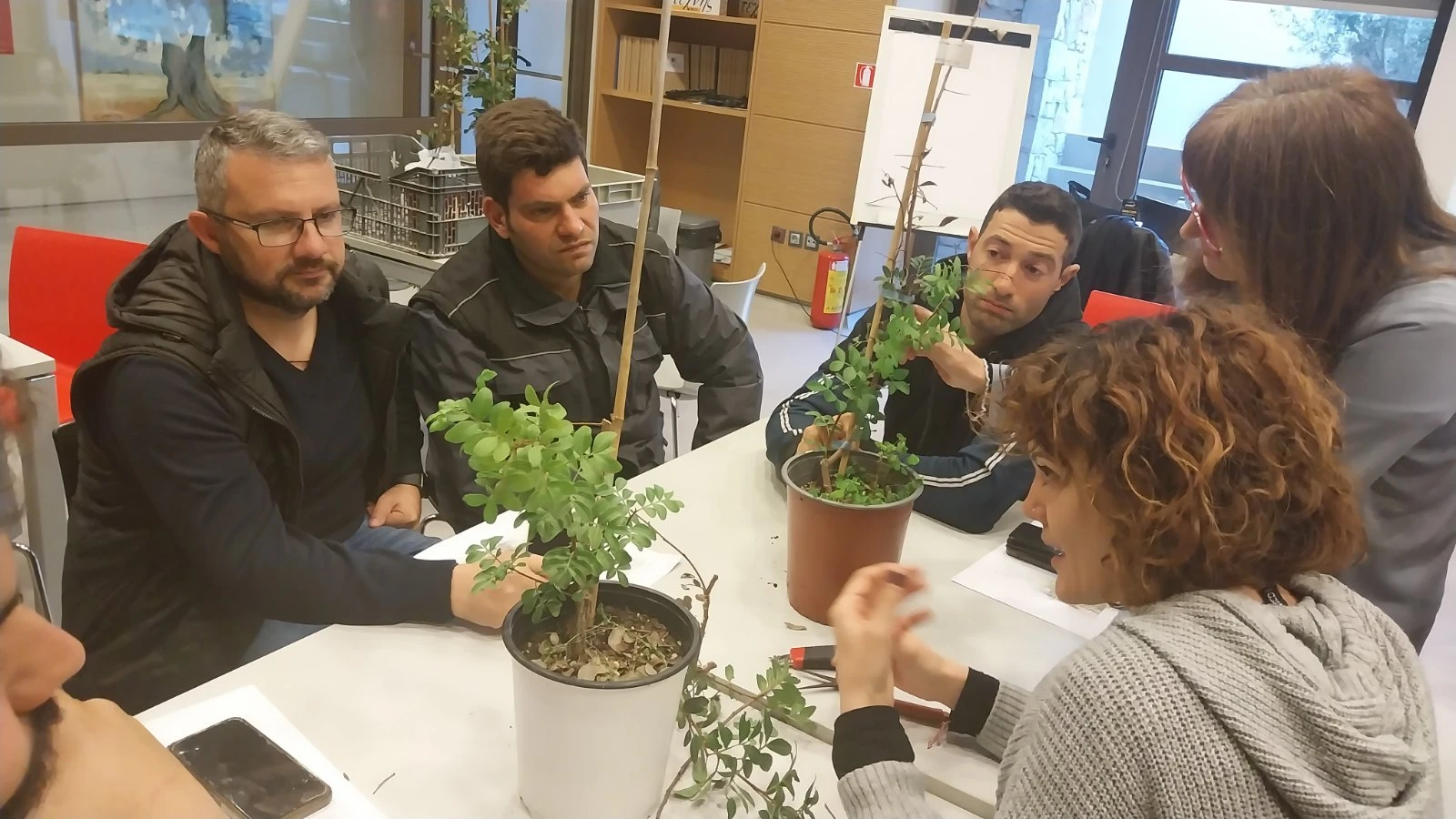 6ekpaidefsipirinon.jpg?v=0