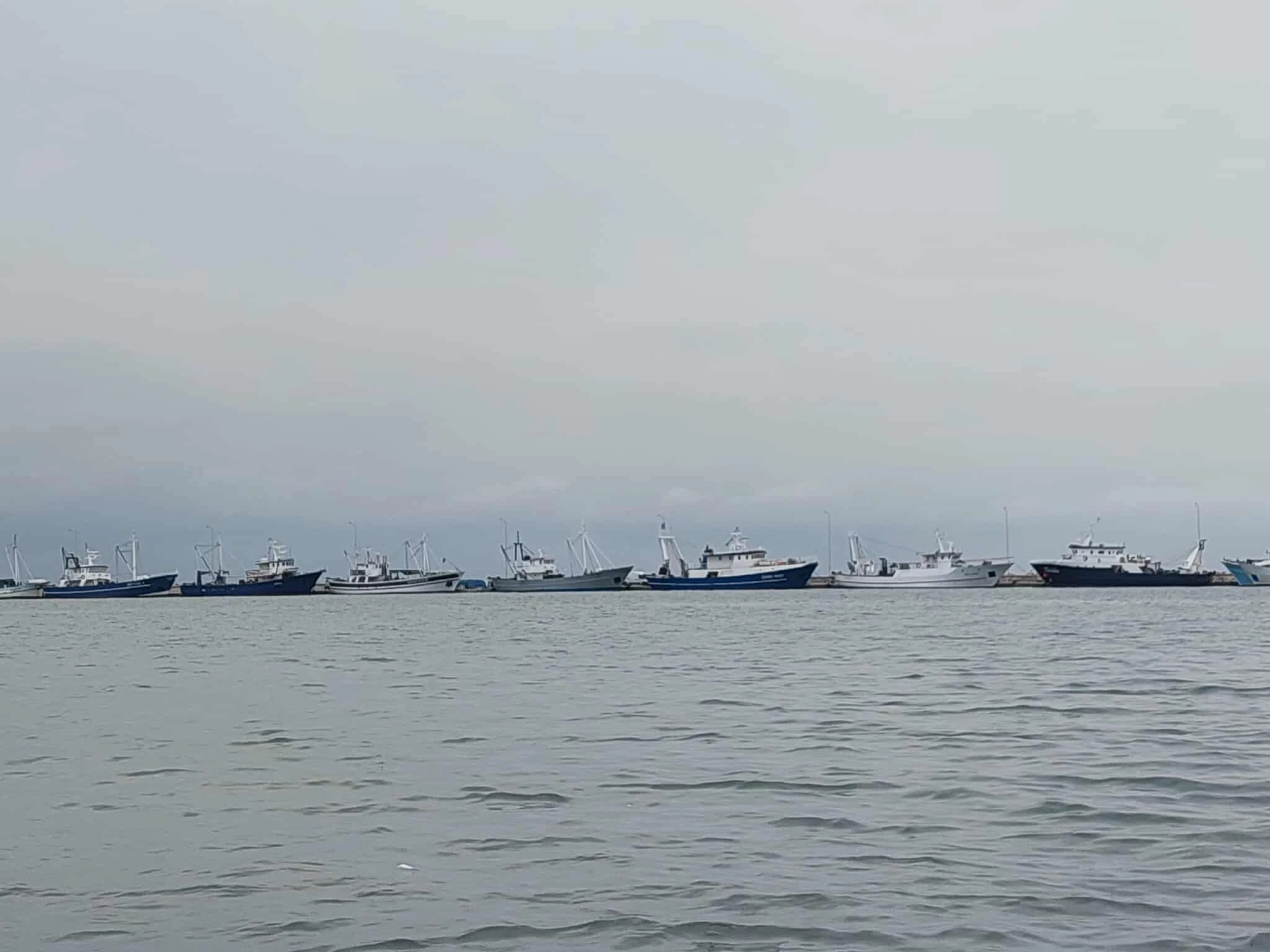 552314274-1314516633800540-2611509178986444580-n.jpg?v=0