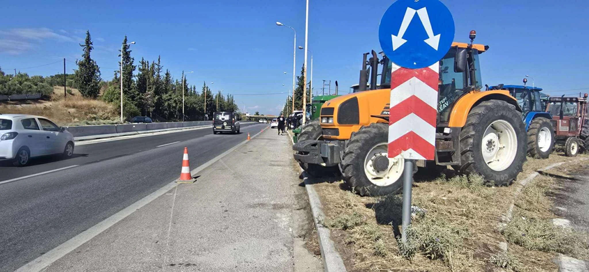 agrotes-4.jpg?v=0 agrotes-4.jpg?v=0