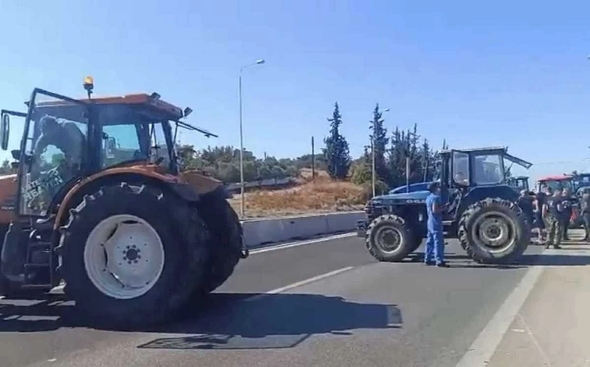 agrotes2.jpg agrotes2.jpg