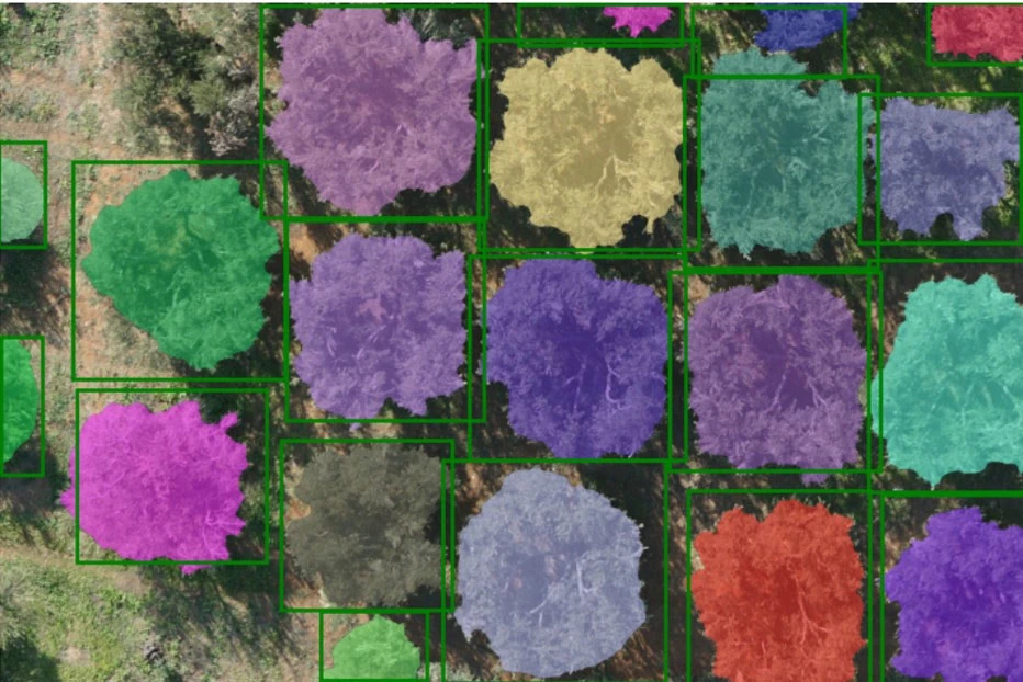 ags4.jpg ags4.jpg