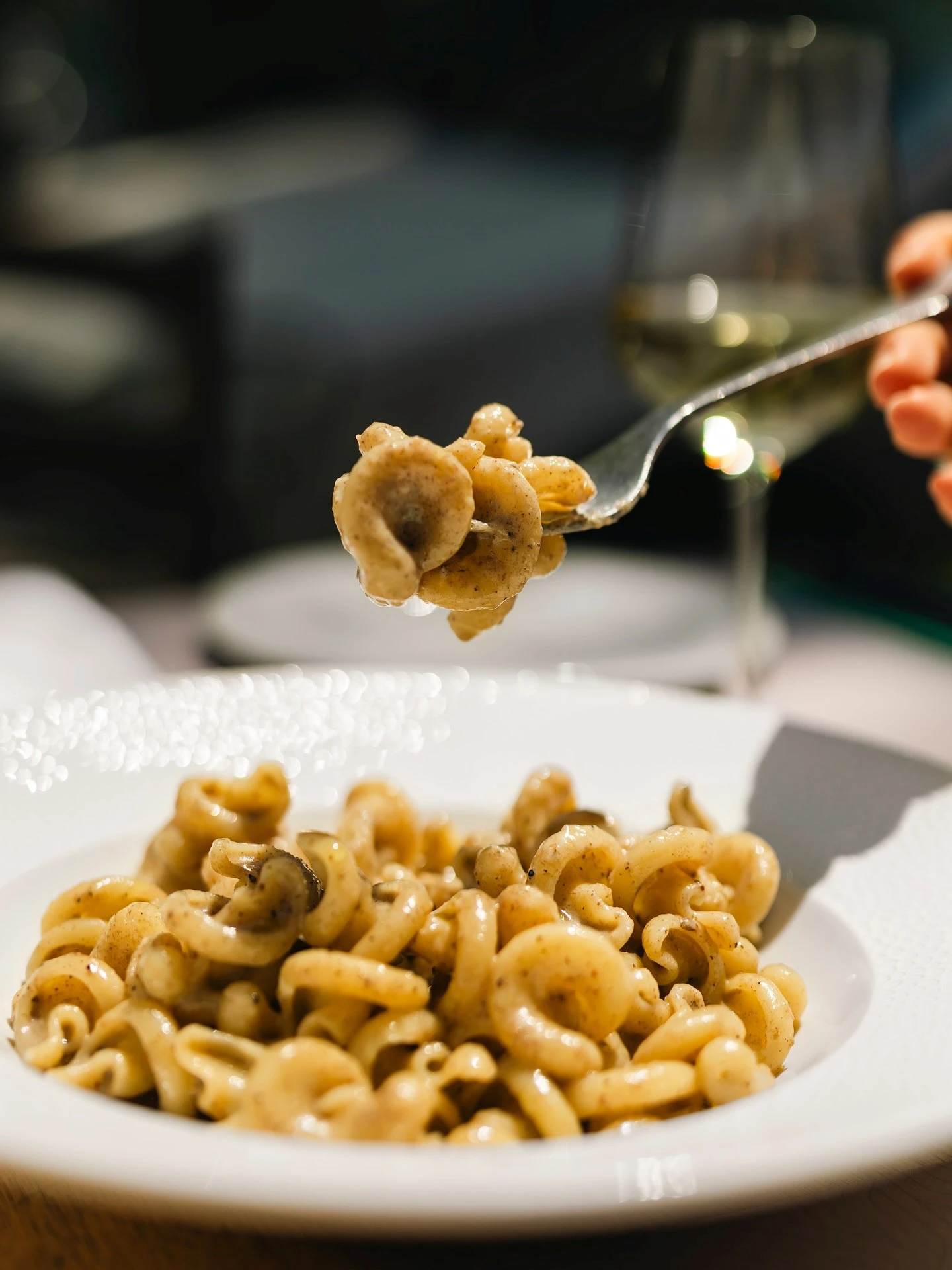 signora-trattoria-10.jpg?v=0