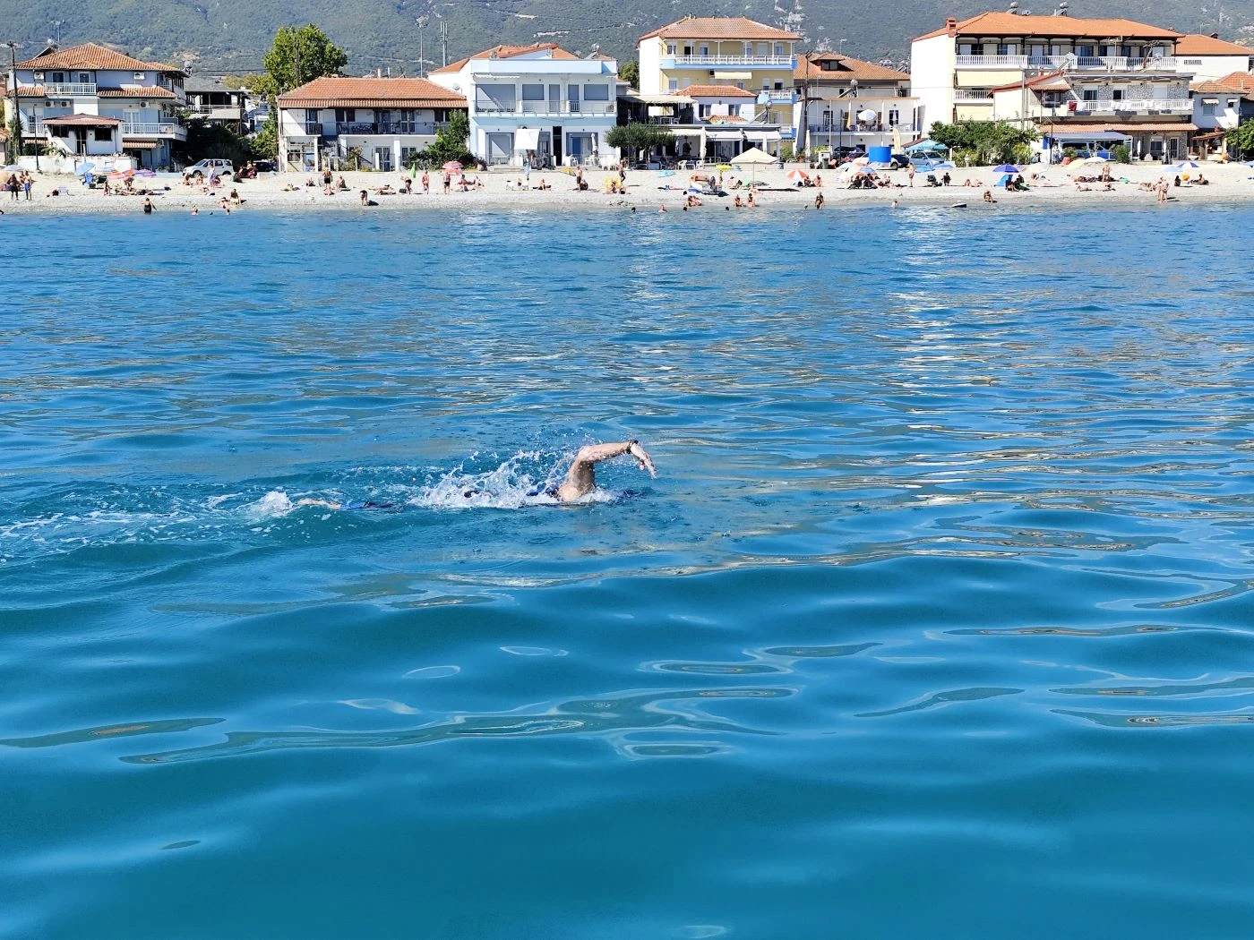 thalassiosmarathonios.jpg?v=0