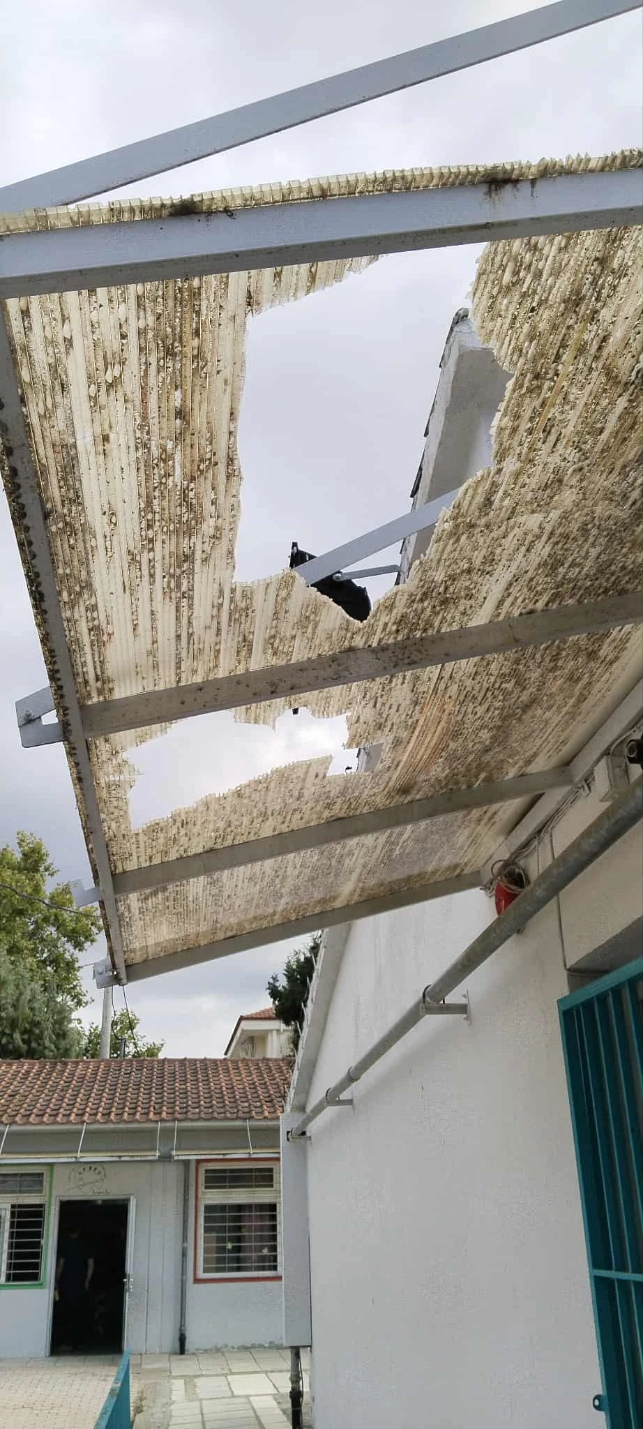 vandalismoi-pefka-5.jfif?v=0