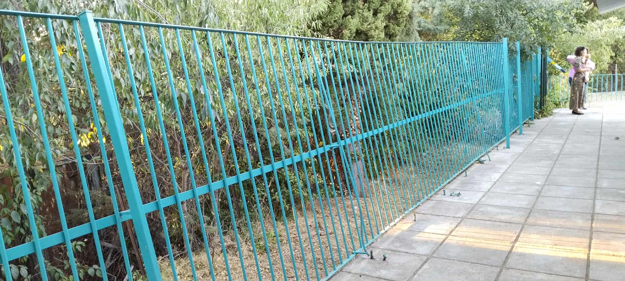 vandalismoi-pefka-6.jfif?v=0