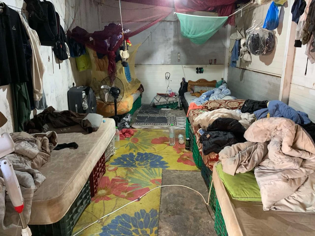 08102025daoe9.jpeg?v=0