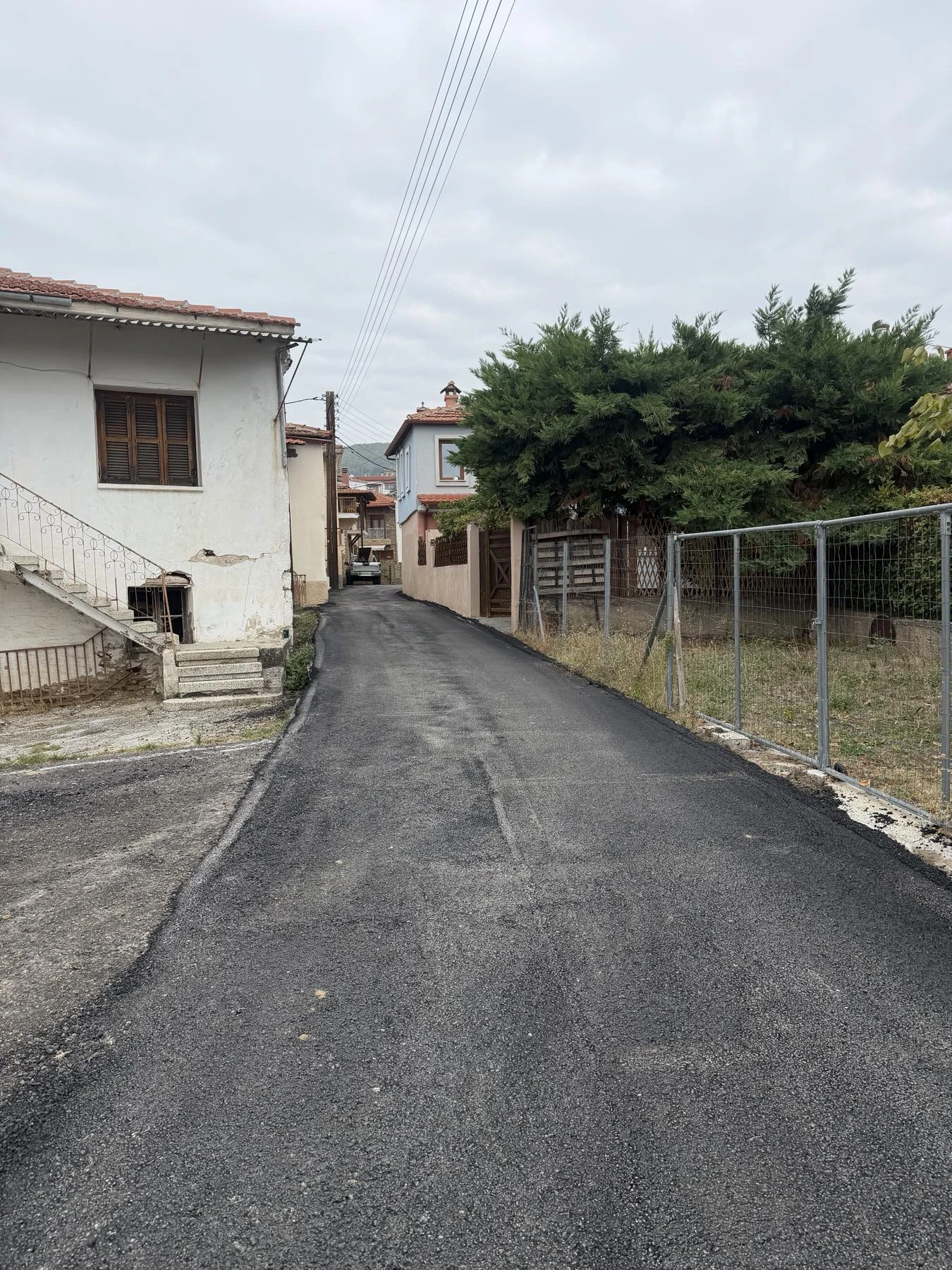 561161174-122243297414167901-2947306440675018068-n.jpg?v=0