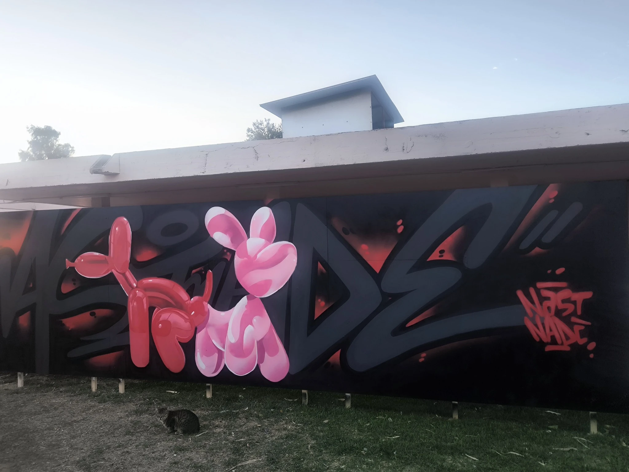 561726268-805953602397119-7600576695736280749-n.jpg?v=0