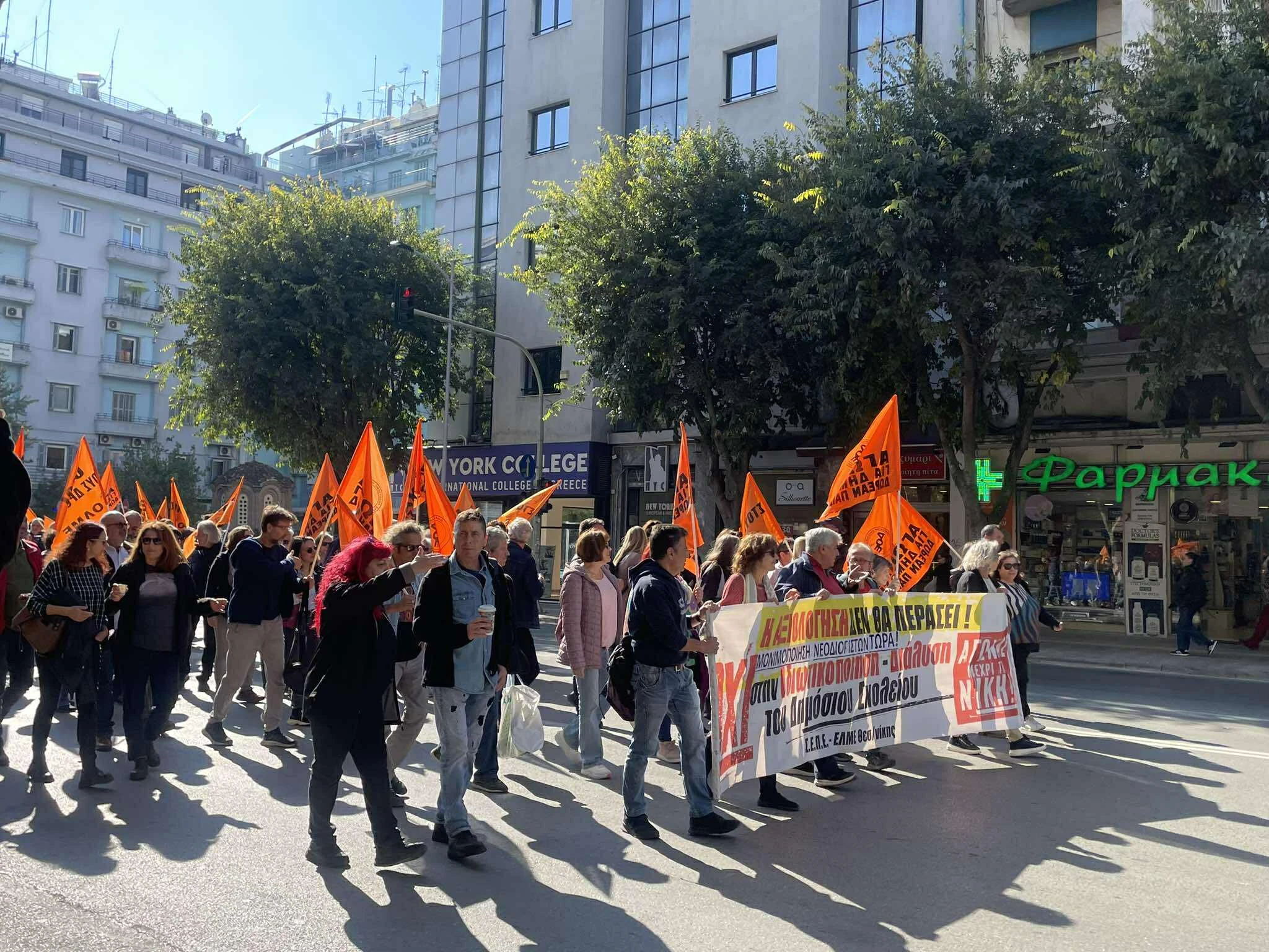 566557768-763730320029393-3718396719065422896-n.jpg?v=0