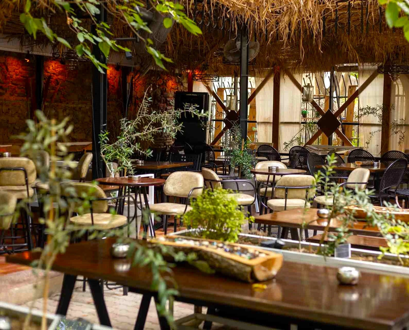 epavli-marokkou-12.jpg?v=0