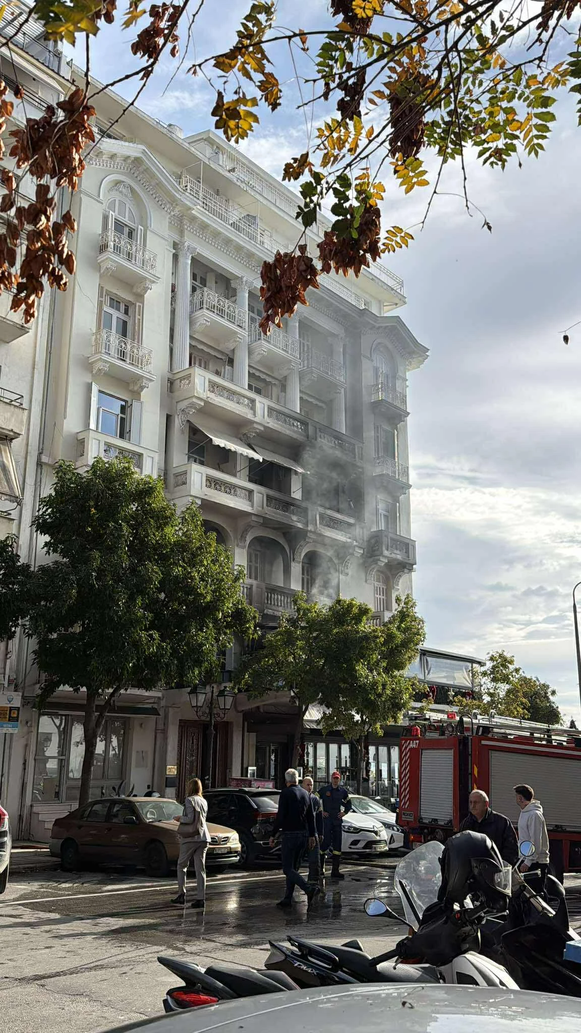 569158868-1533196941025437-2165766009581557196-n.jpg 569158868-1533196941025437-2165766009581557196-n.jpg