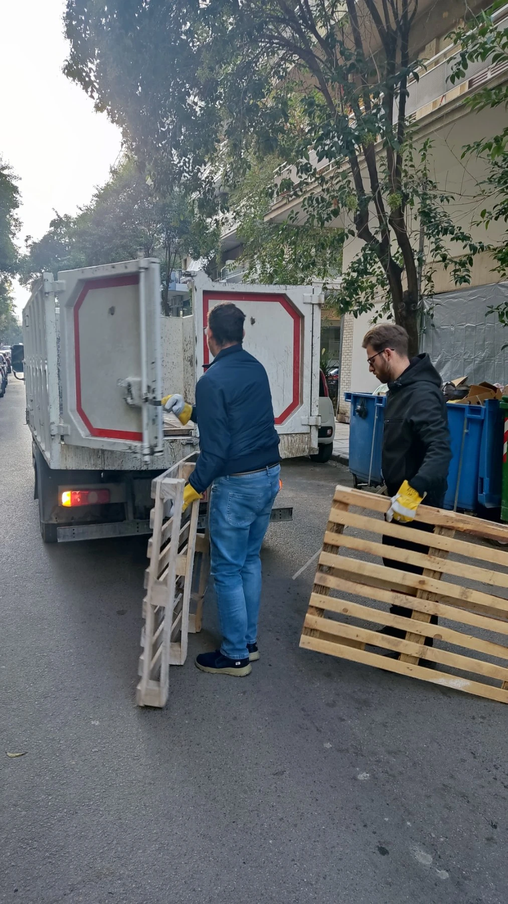 apokomidi-ogodi5.jpg?v=0 apokomidi-ogodi5.jpg?v=0